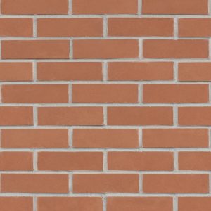 Tanagra Russet - Image 3